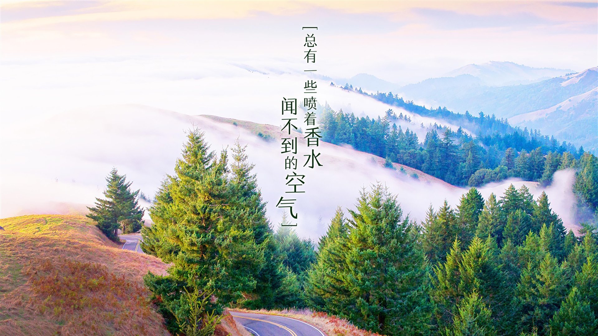 今年联盟三分球命中率最高的球队，你知道是哪队？，史上三分球命中率最高