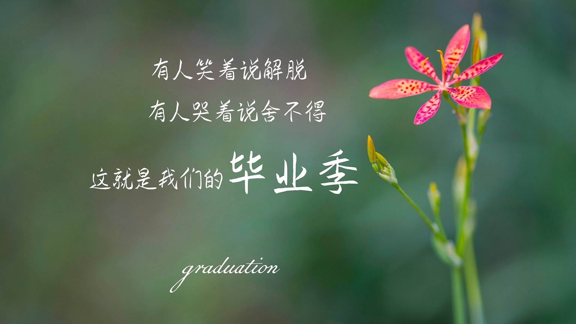 背后故事：那些让人动容的比赛背后故事，大赛背后的故事