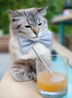 多特蒙德客场2-0战胜云达不莱梅，豪取九连胜，多特蒙德 客场