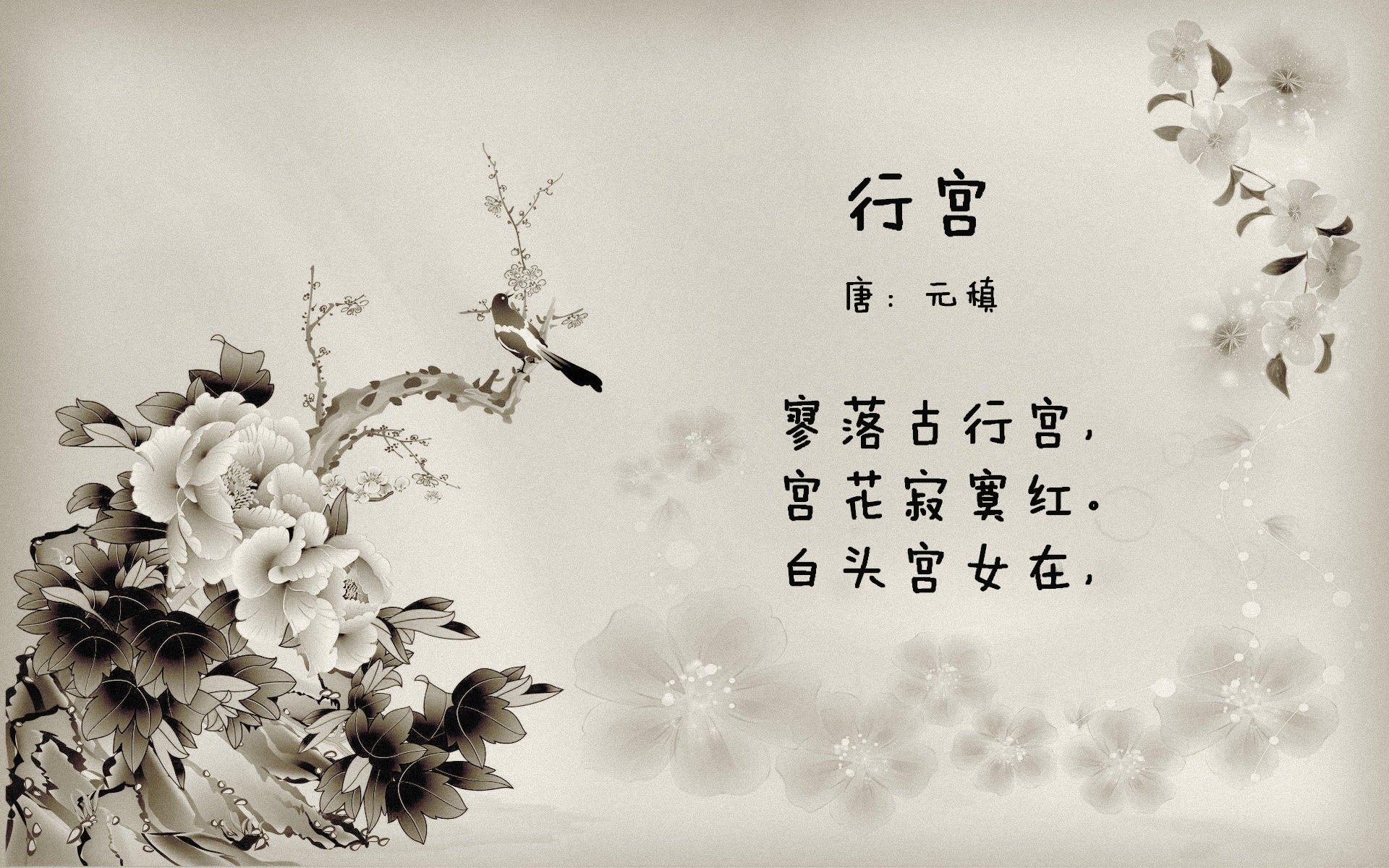 山东泰山主场战胜强敌，山东泰山队重大调整