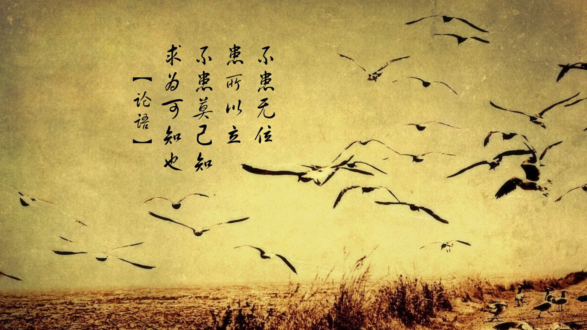 蔚山现代客场强势取胜，蔚山现代在哪个城市