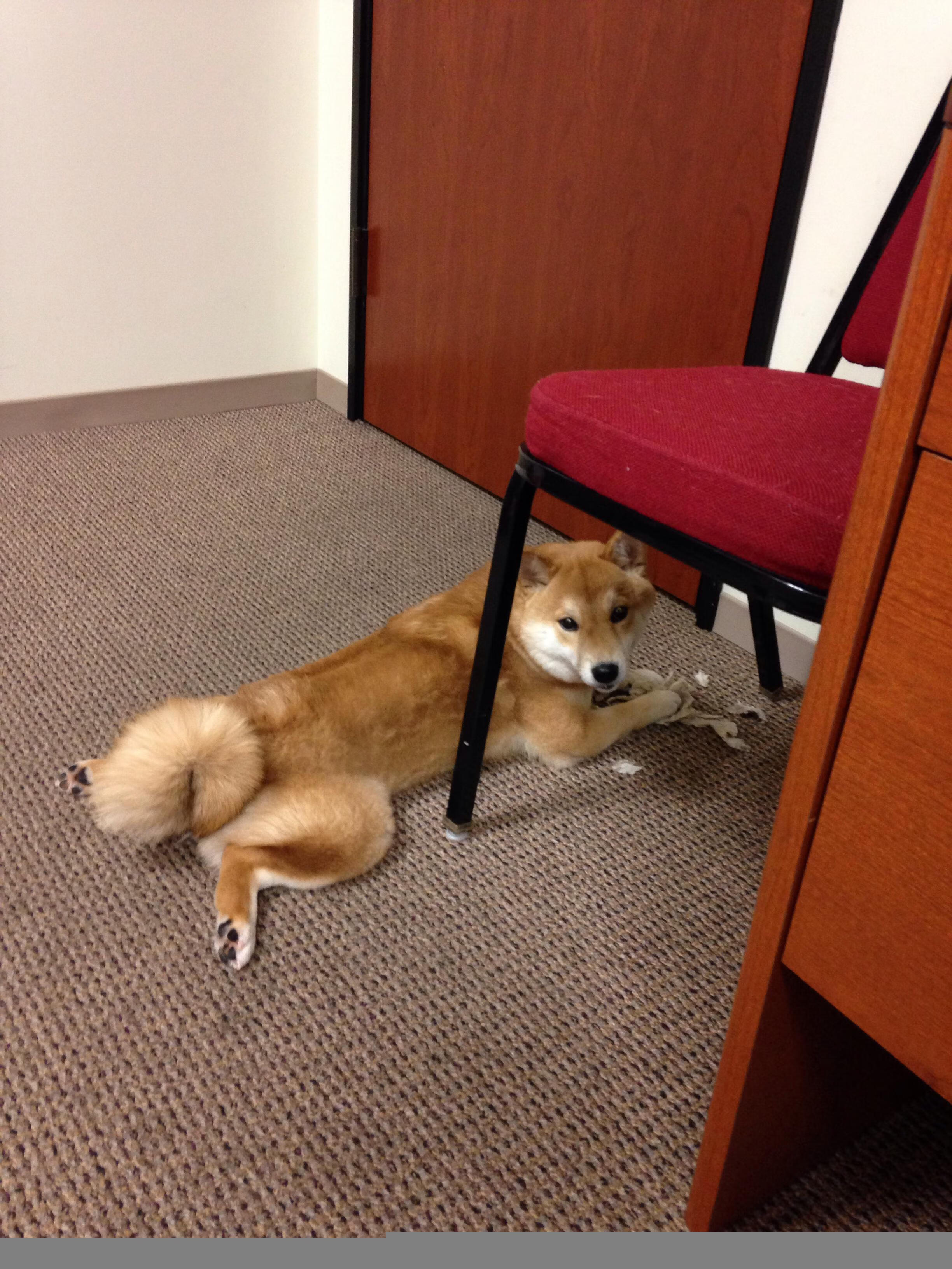 中国男篮加强攻守转换,中国男篮篮球规则