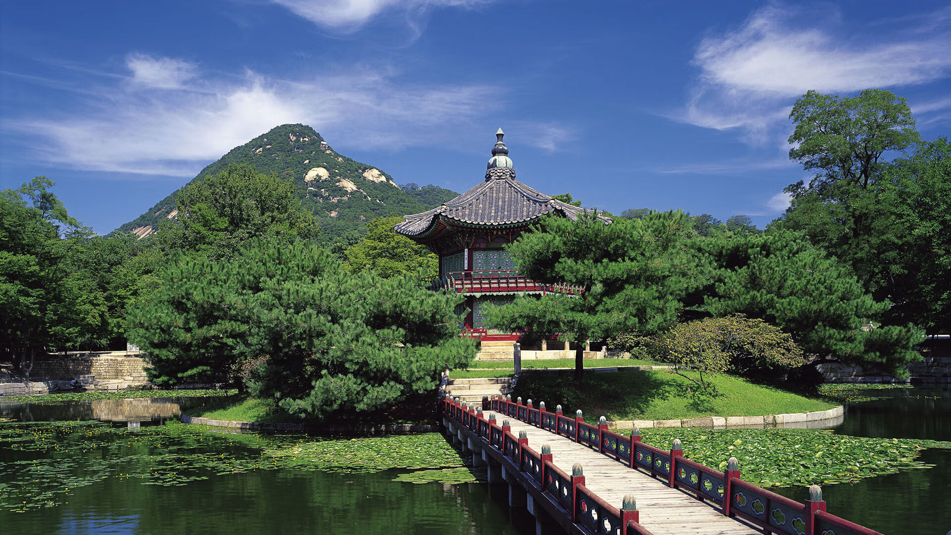 亚洲杯中国青年队晋级 球迷热切关注发展前景，足球亚洲杯中国队怎么样