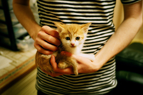 职业俱乐部缺乏可复制的青训模板,职业俱乐部青训梯队完整