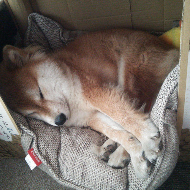 阿尔艾因赛彻底被尤文碾压,比分反映实力差距,阿尔艾因vs阿尔萨德