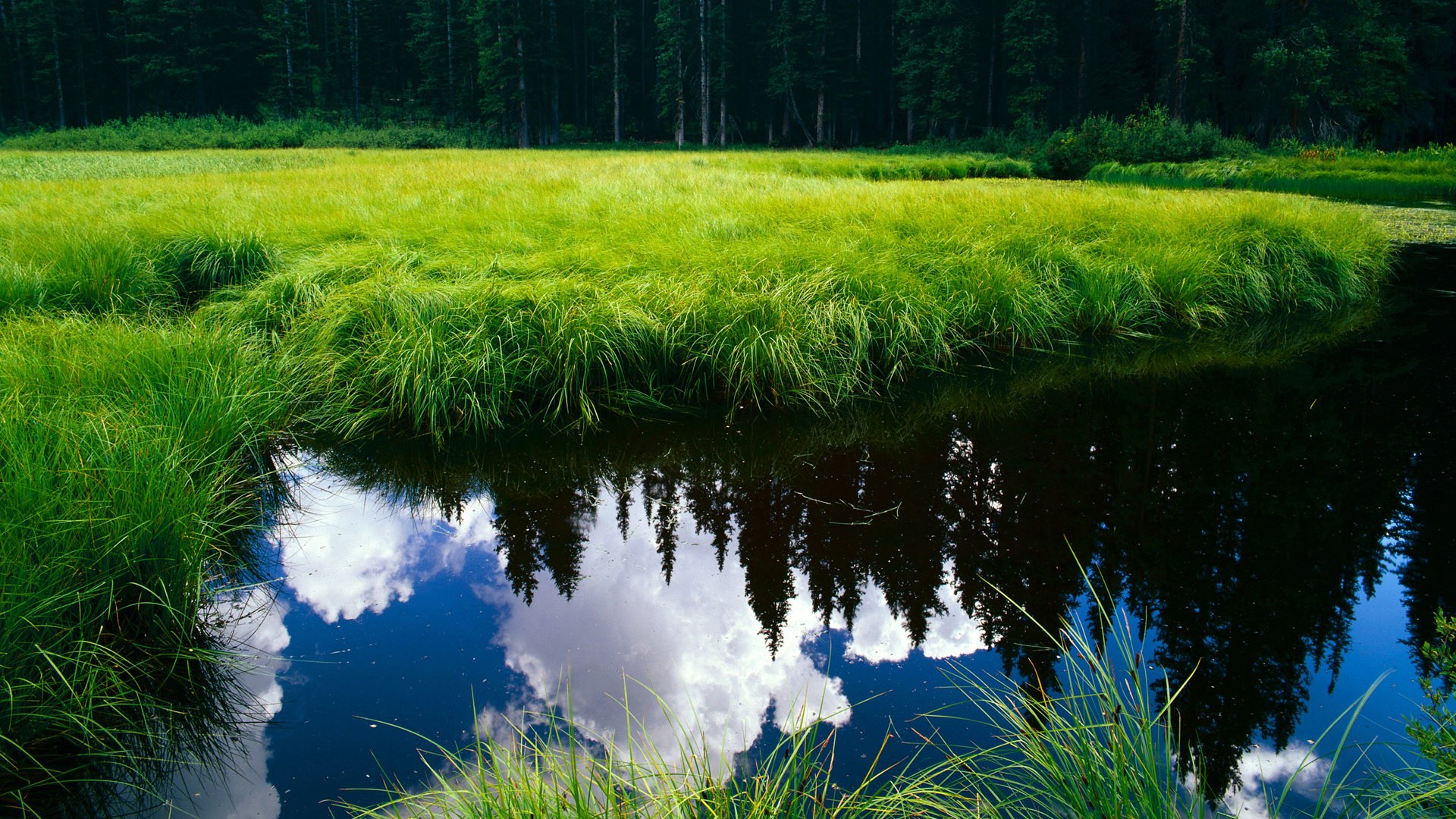 公牛拍摄宣传海报主打青春与力量主题,公牛广告词到底是什么