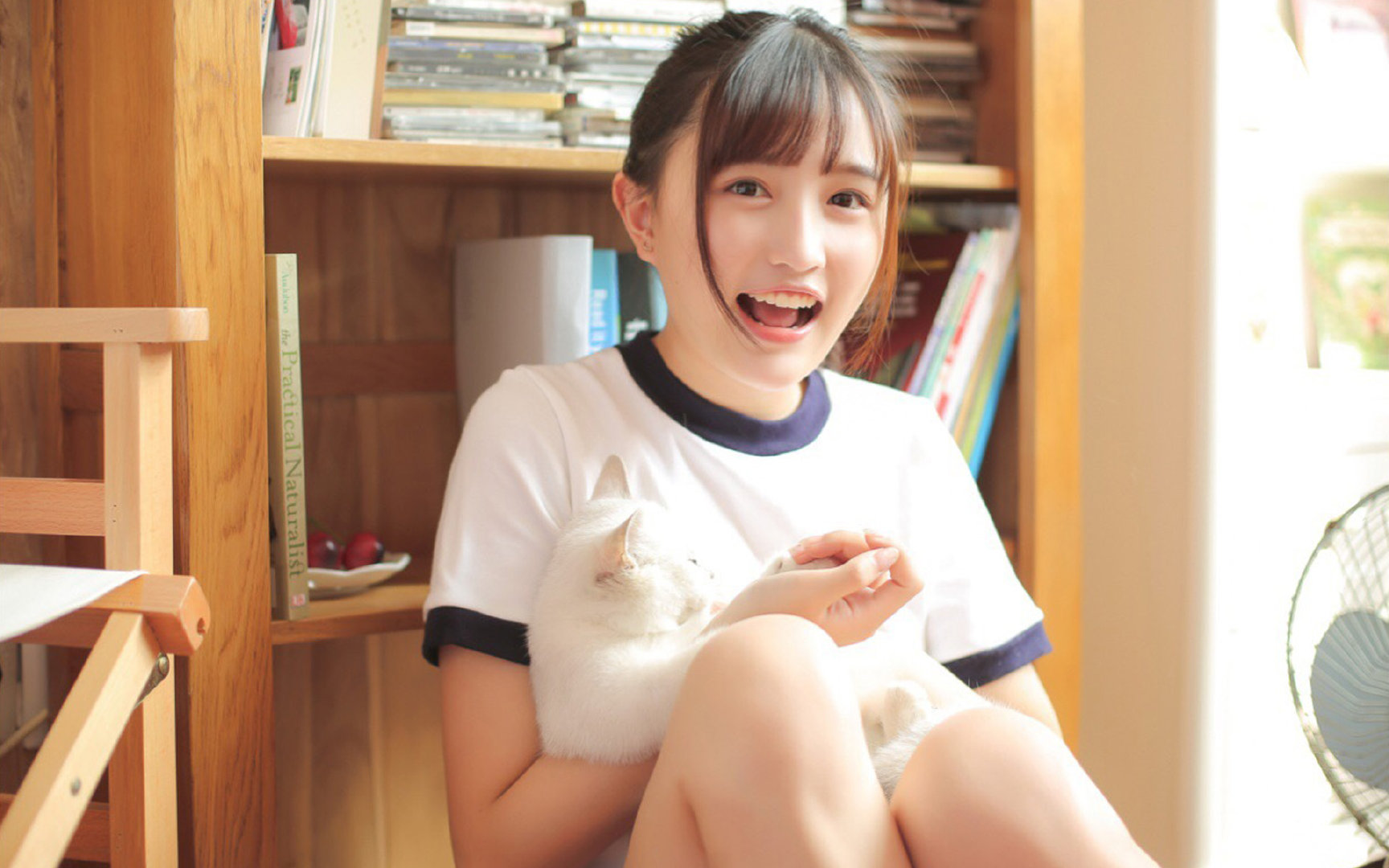 跳水技术稳健突尼斯发挥正常，跳水项目减少