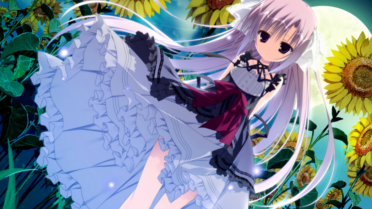 跳水技术稳健突尼斯发挥正常，跳水项目减少